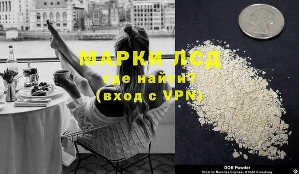 ECSTASY Алзамай