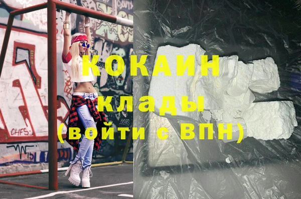 крисы Горняк