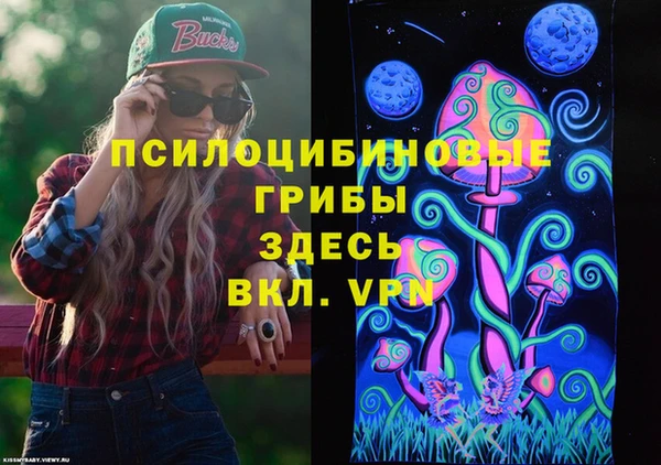 стафф Касимов