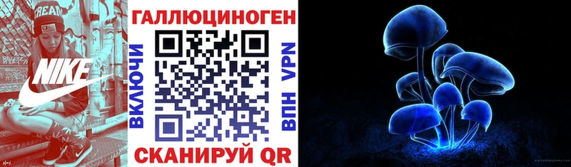 наркошоп  Лысьва  Псилоцибиновые грибы Psilocybe 